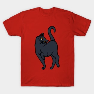 Begging for pettings--Black Cat Style T-Shirt